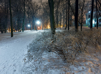 Similar image 1802457