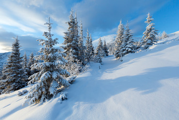 Similar image 1802467