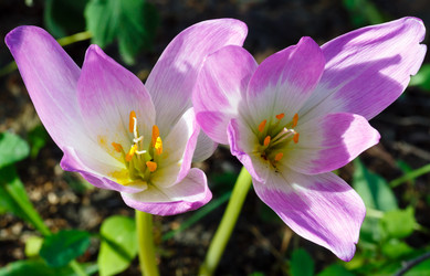 Similar image 1802474