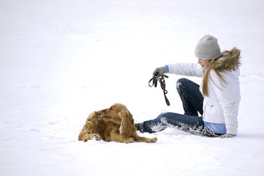 Similar image 1802494