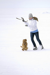 Similar image 1802509