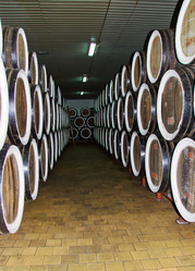 Similar image 1802678