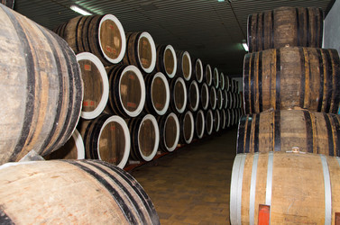 Similar image 1802679