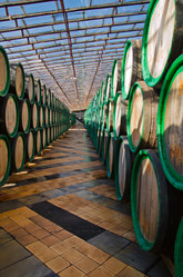 Similar image 1802699