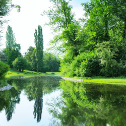 Similar image 1803156