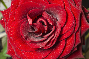 Similar image 1803179