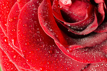 Similar image 1803180