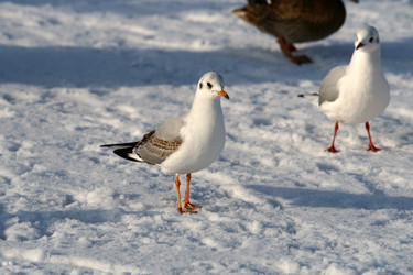 Similar image 1803218