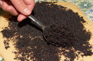 Similar image 1803259