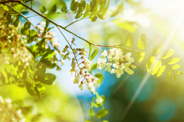 Similar image 1803282