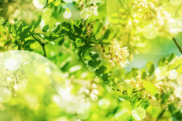 Similar image 1803290