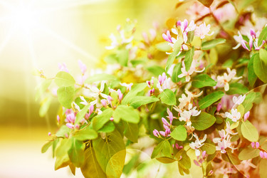 Similar image 1803291