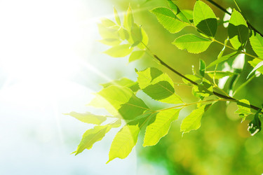 Similar image 1803292