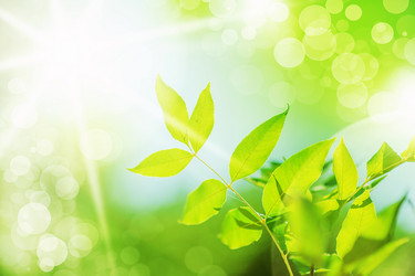 Similar image 1803293