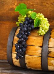 Similar image 1803326