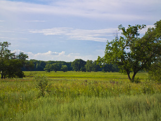 Similar image 1803421