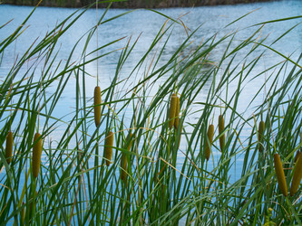 Similar image 1803462