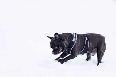 Similar image 1803512