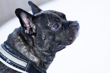 Similar image 1803540