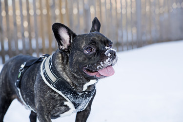 Similar image 1803641