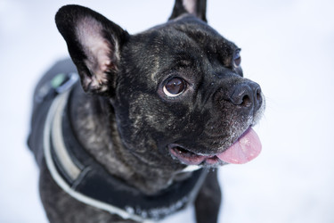 Similar image 1803652