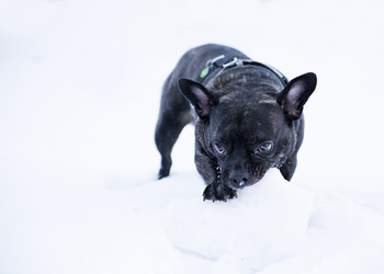 Similar image 1803655