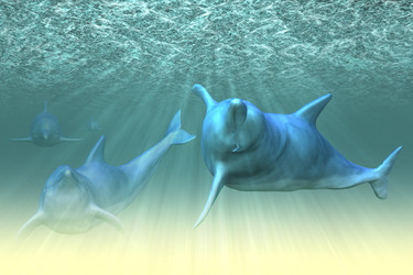 Similar image 1803777