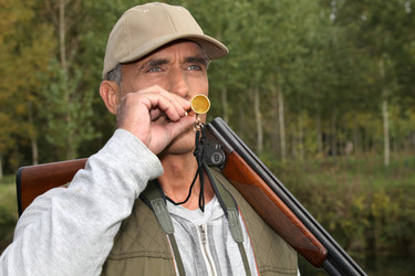 Similar image 1803789