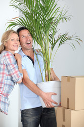 Similar image 1803880