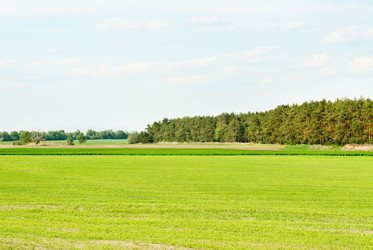 Similar image 1803929