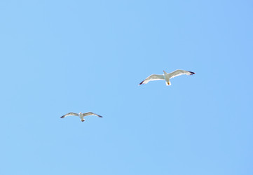 Similar image 1803988