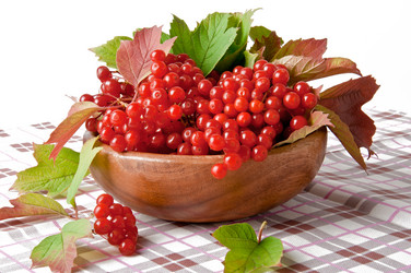 Similar image 1804229