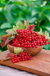 Similar image 1804230