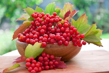 Similar image 1804231