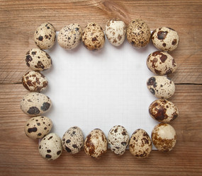 Similar image 1804276