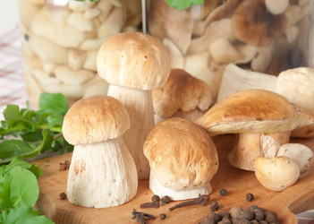 Similar image 1804310