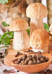 Similar image 1804311