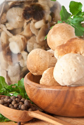 Similar image 1804313