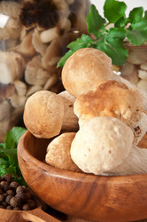 Similar image 1804314