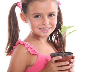 Similar image 1804359