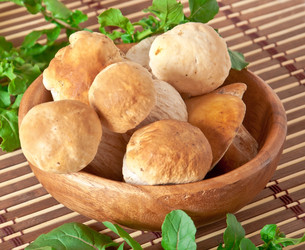 Similar image 1804411