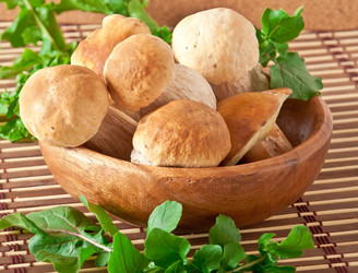 Similar image 1804412