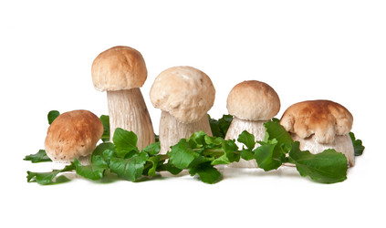 Similar image 1804415