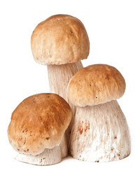 Similar image 1804418