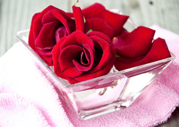 Similar image 1804533