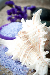 Similar image 1804537