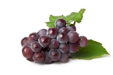 Similar image 1804538