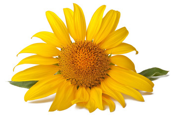 Similar image 1804542