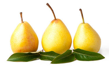 Similar image 1804546