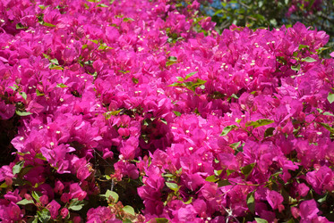 Similar image 1804547